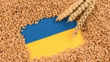 Ukraine grains