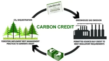 carbon credit trading