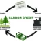 carbon credit trading
