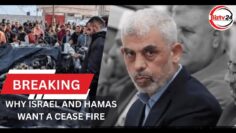 Israel and Hamas ask for a cease fire, see Economic Impact of the war